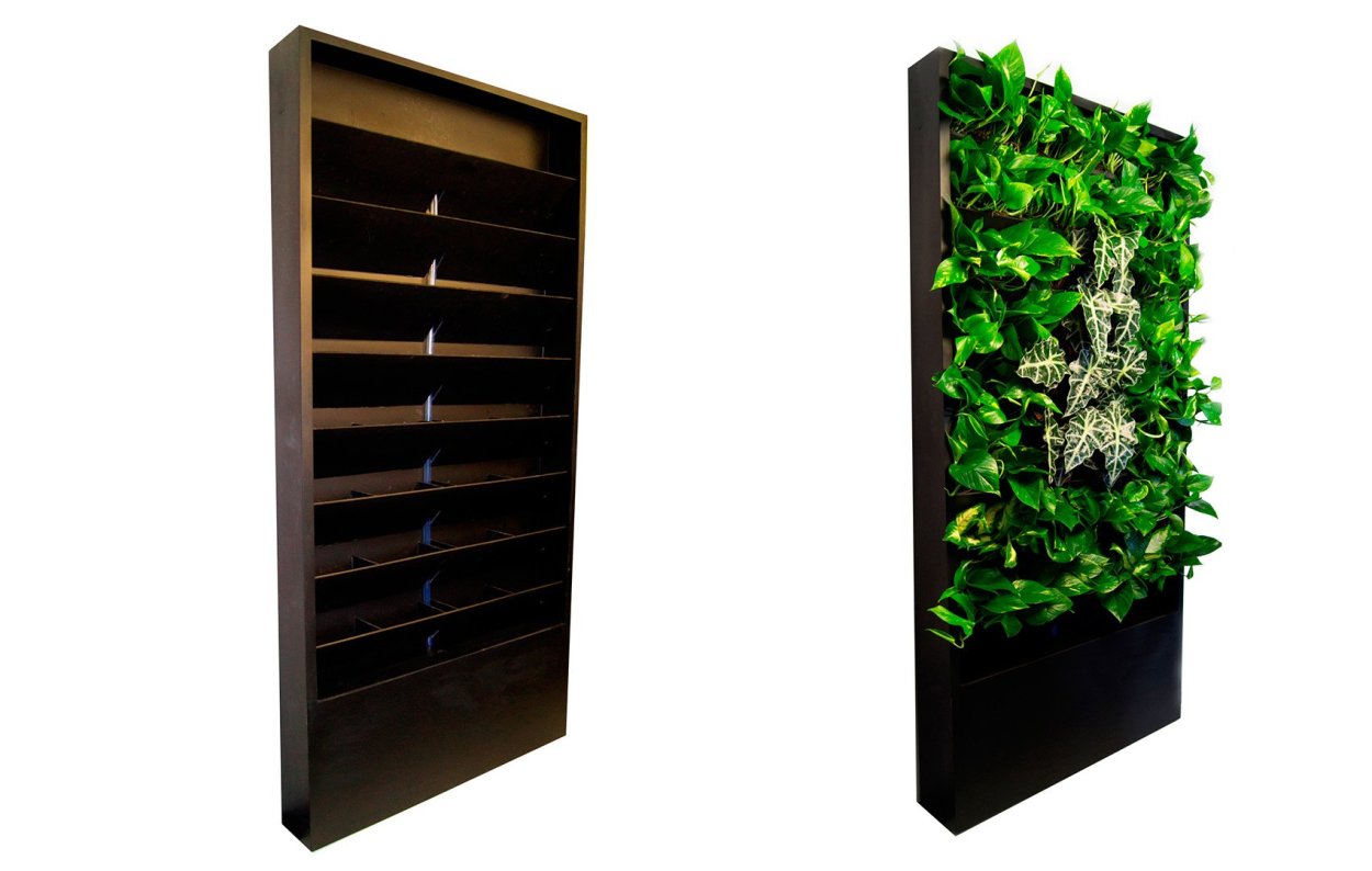 Фитостена с неоном