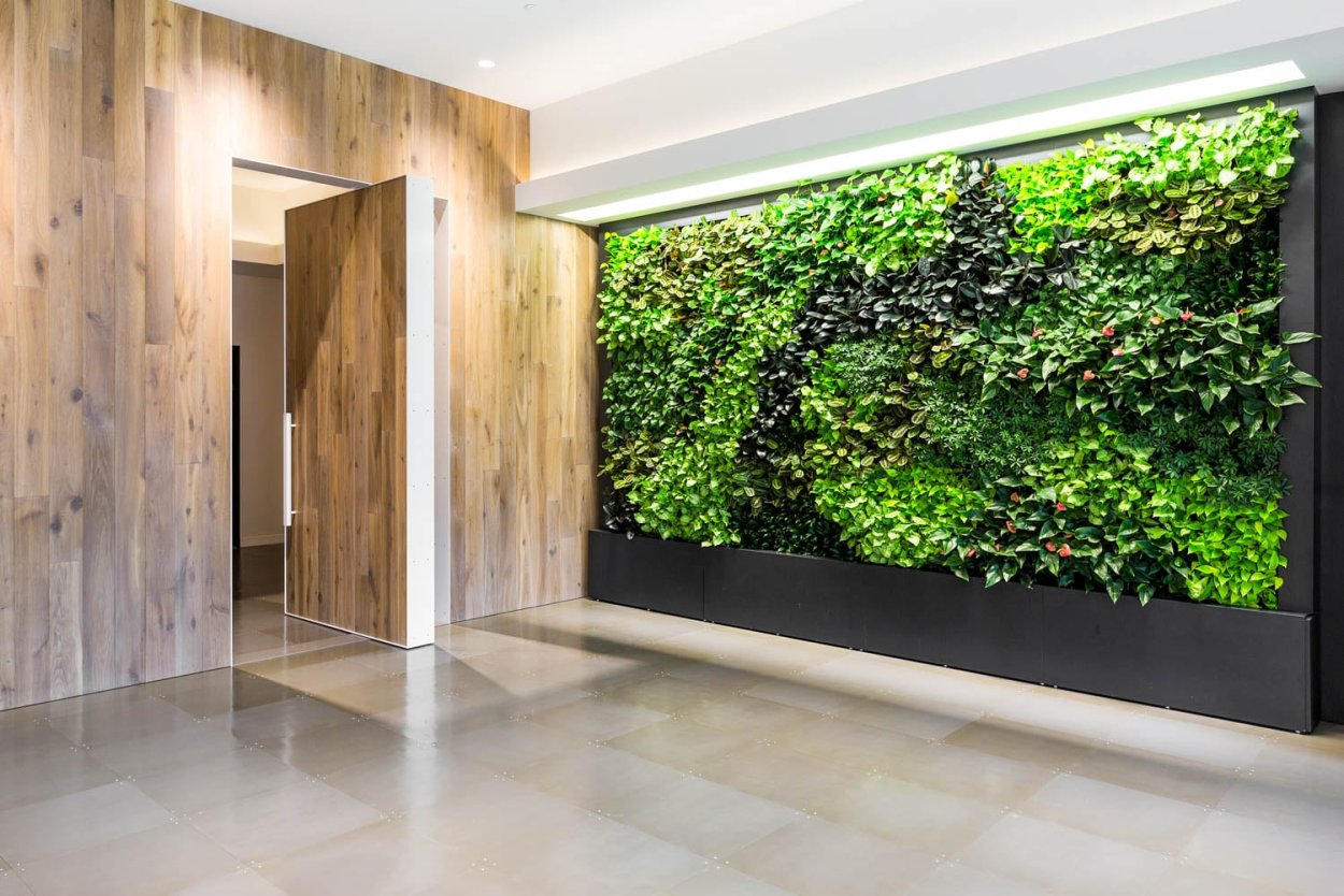 Green Sky фитостены