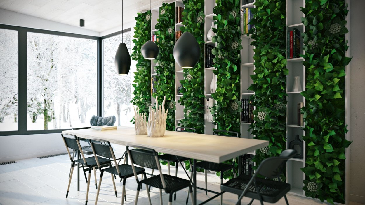 Фитостена с фатсией