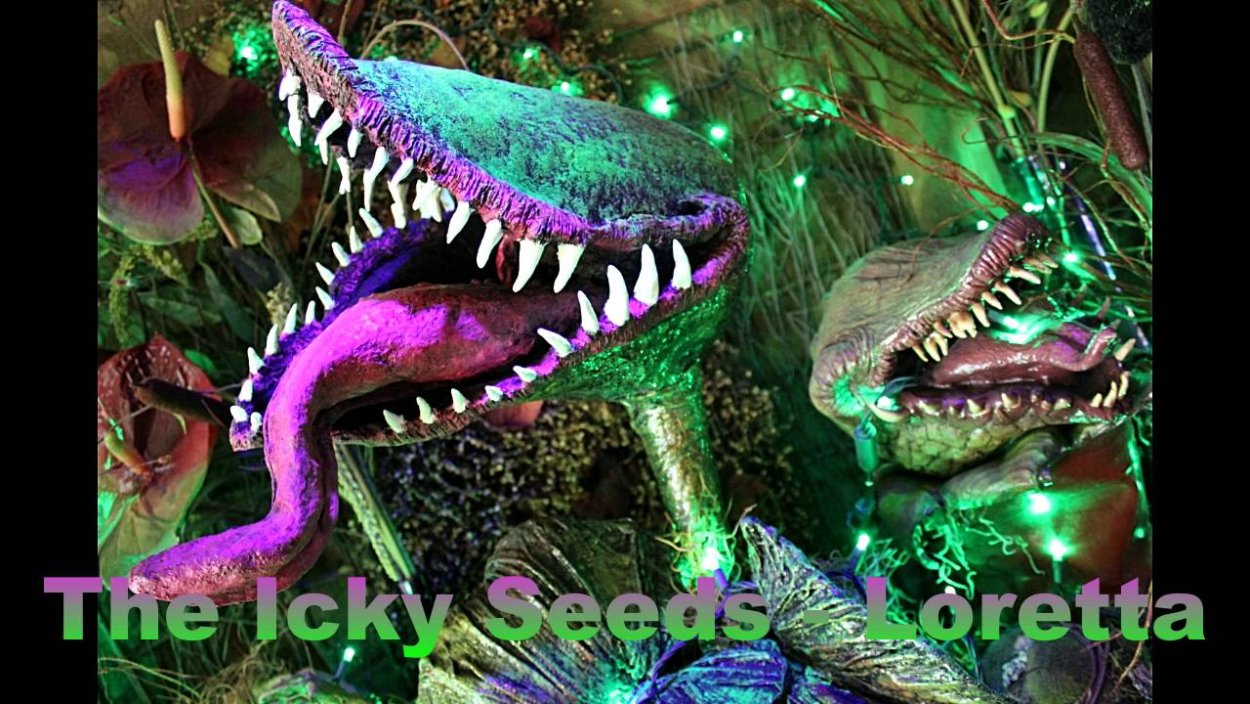 Аристолохия Salvadorensis