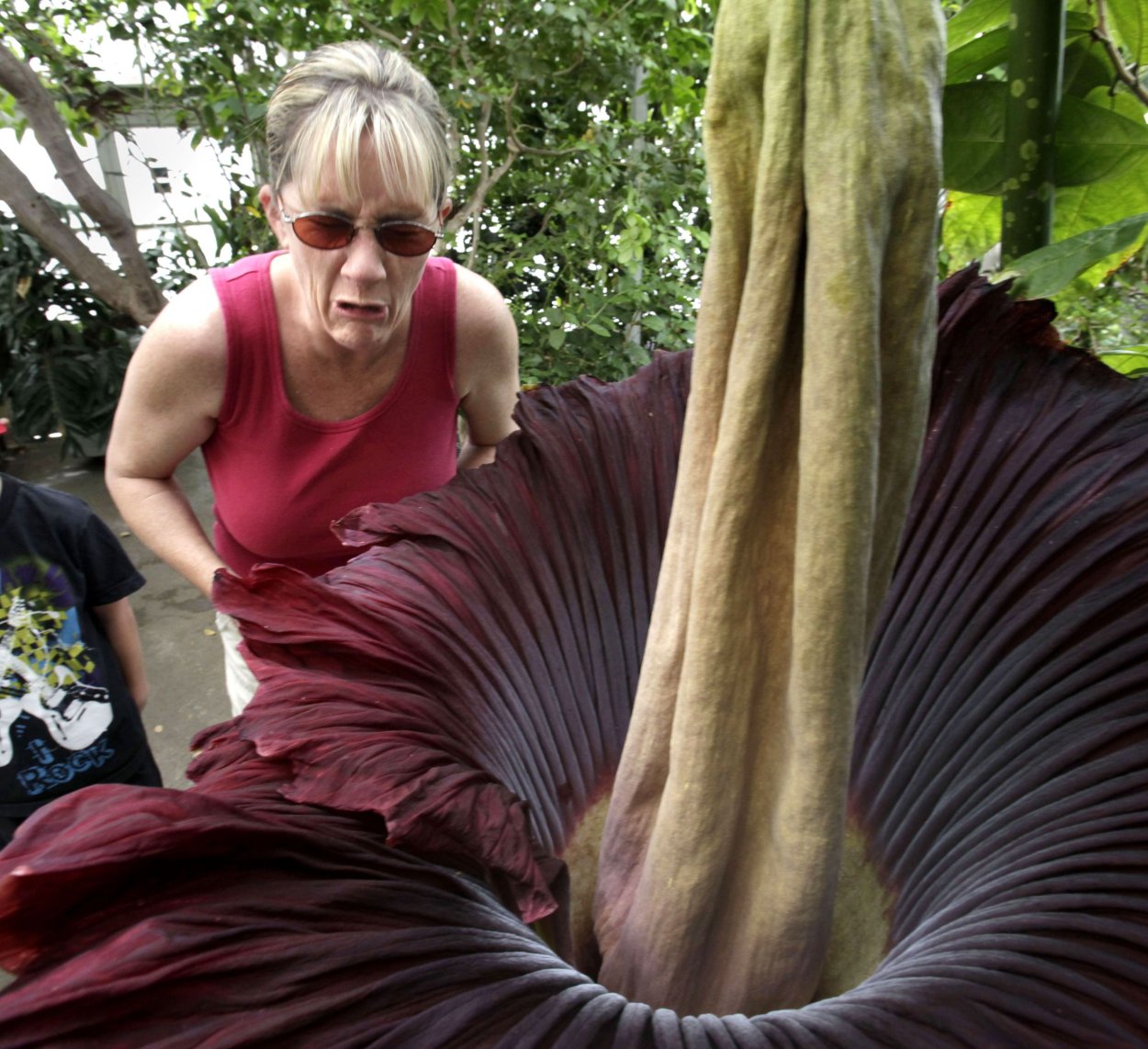 Смердящий Рог осьминога и морской гриб анемон