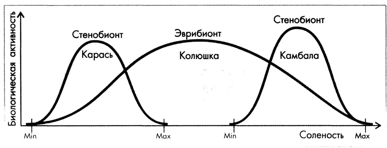 Эвритермные и стенотермные растения