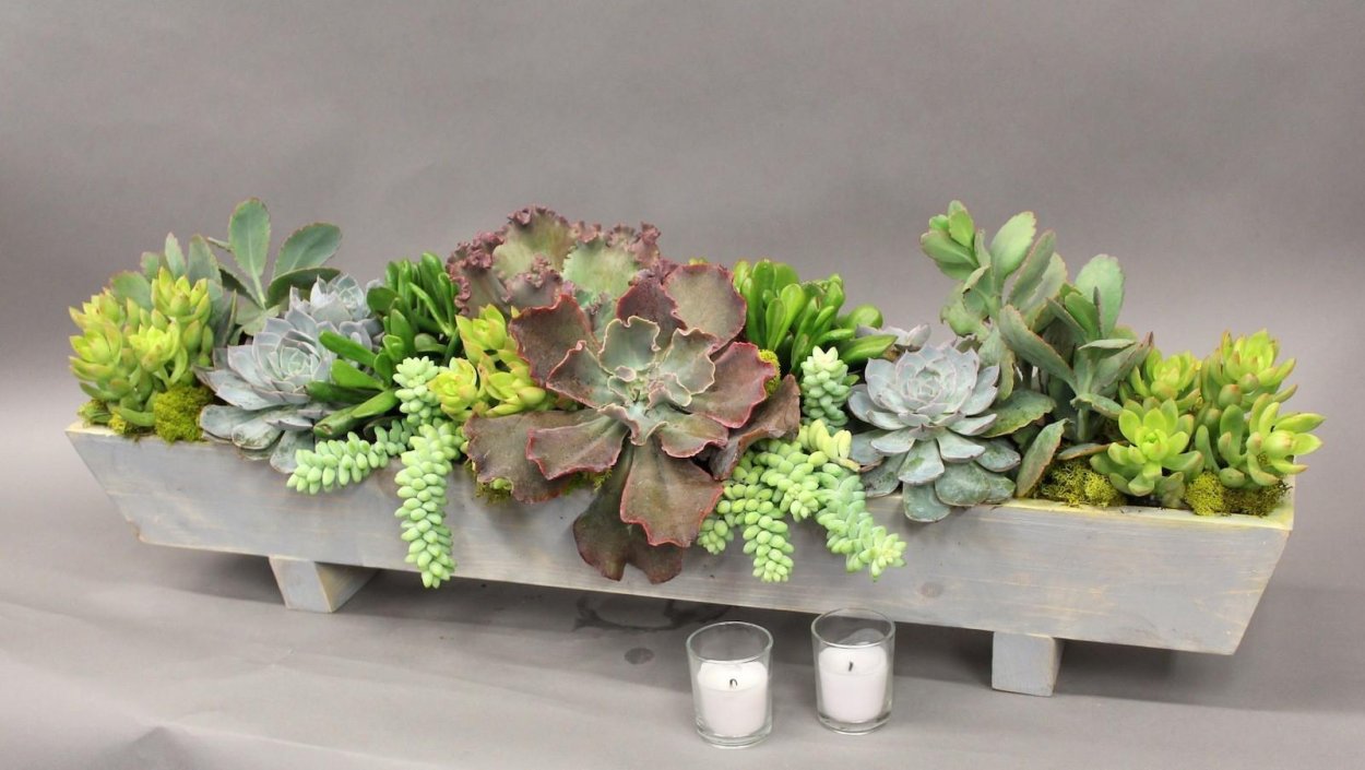 Флорариум Лазурная бухта