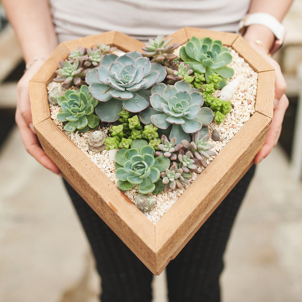 Букет из суккулентов