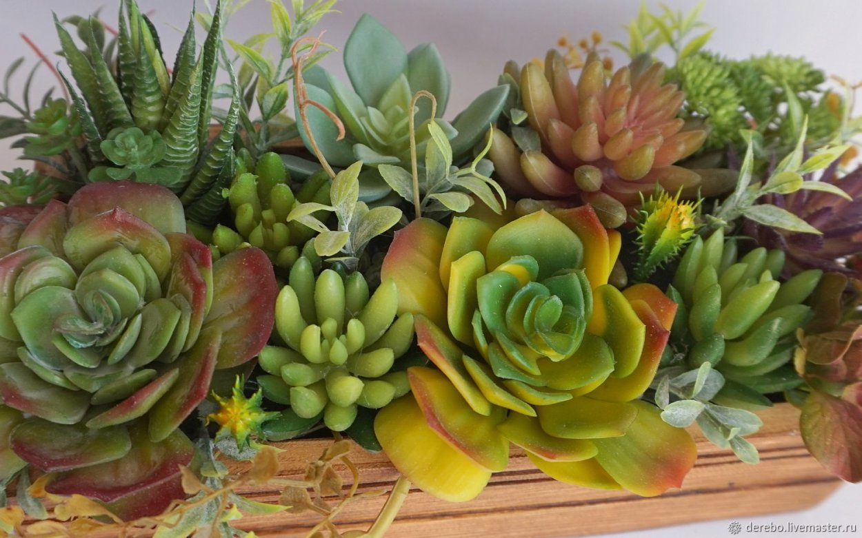 Декоративные клетки с суккулентами