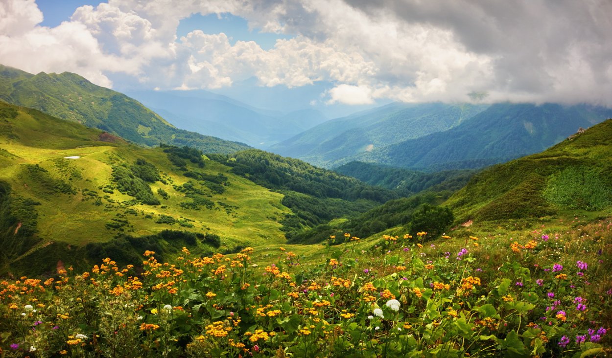 Альпийские Луга Грузия