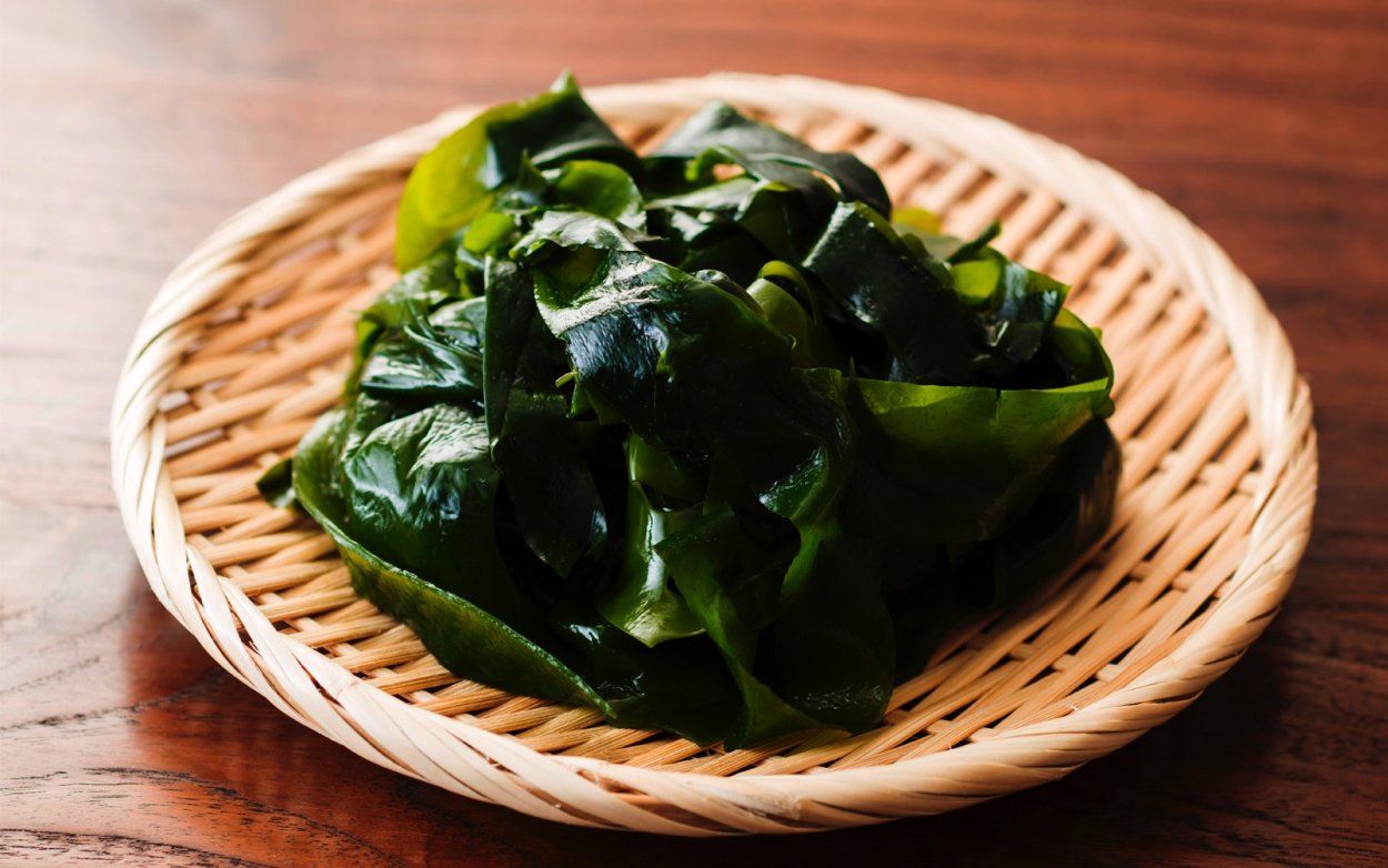 Японская морская капуста