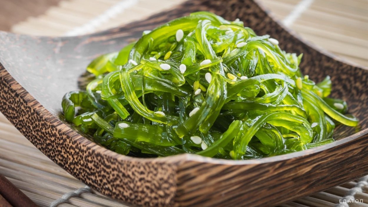 Ундария перистая вакаме