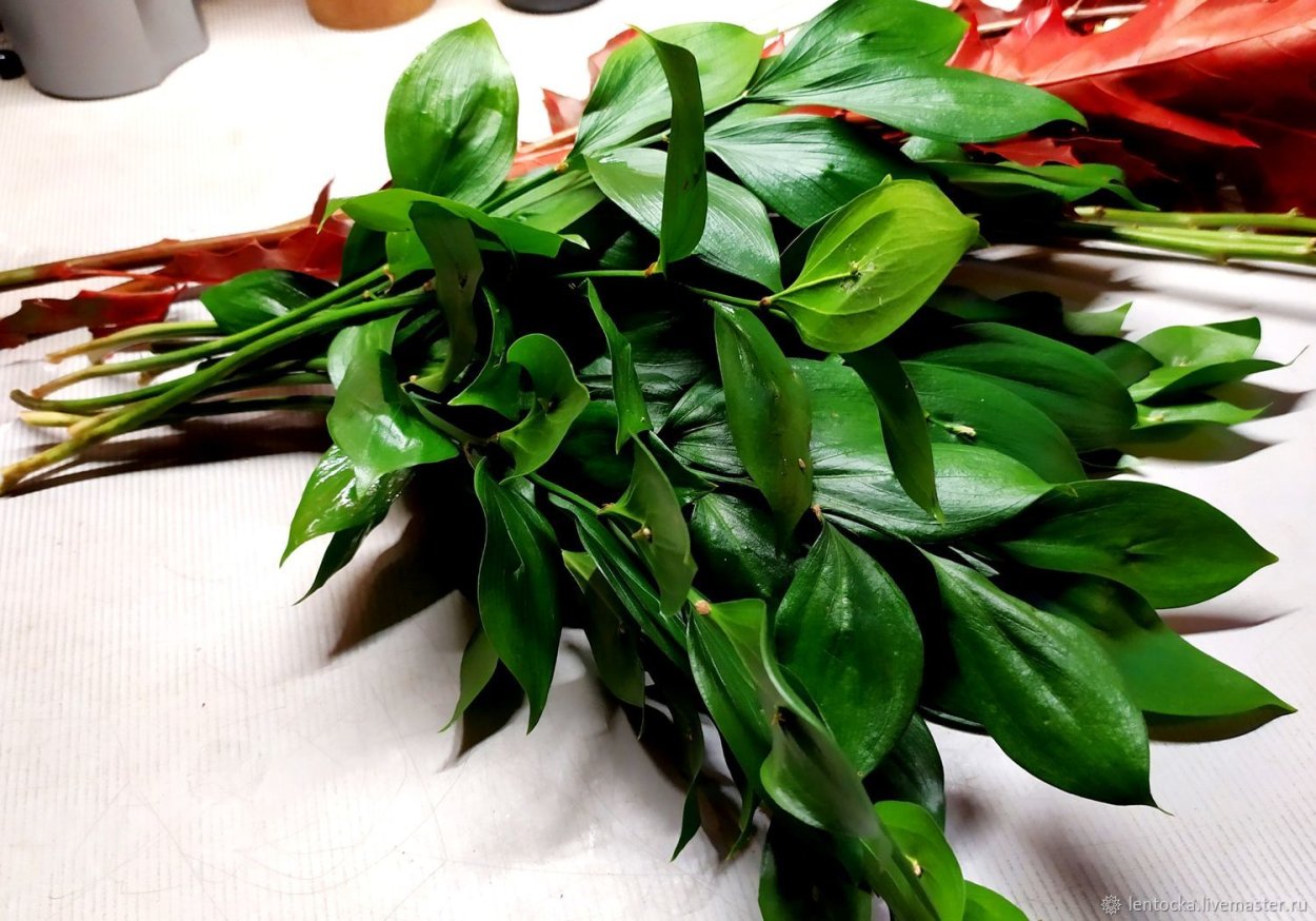 Рускус Сочи