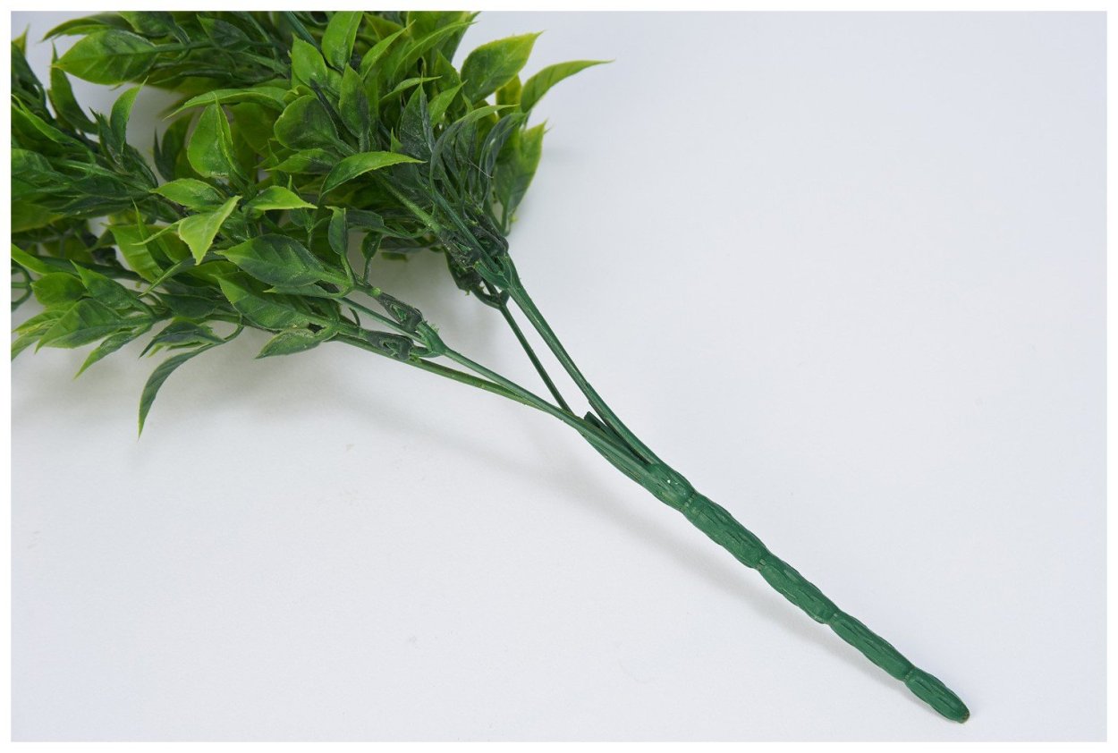 Рускус Лонг