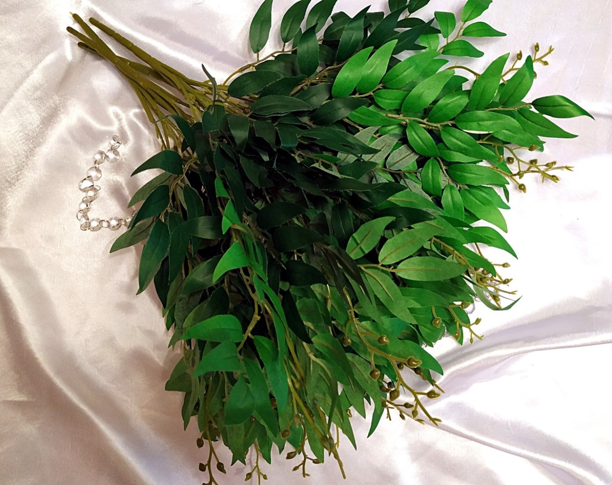 Рускус иглица