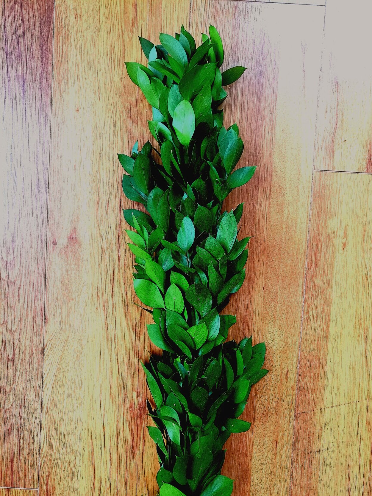 Коккулус зелень