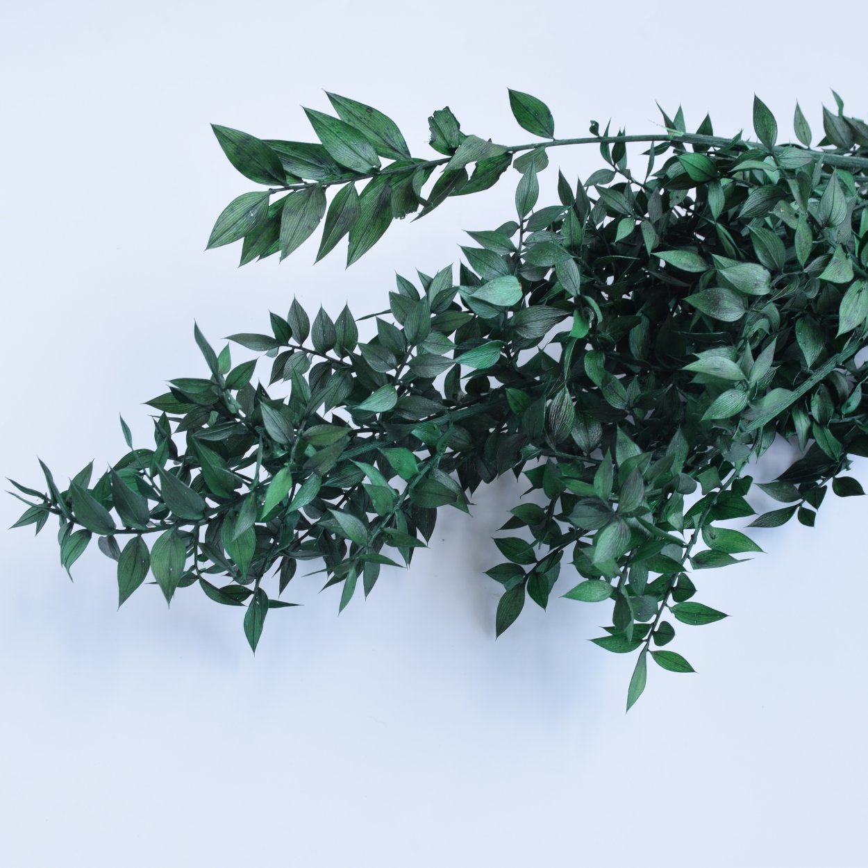 Тилапия зелень для букета