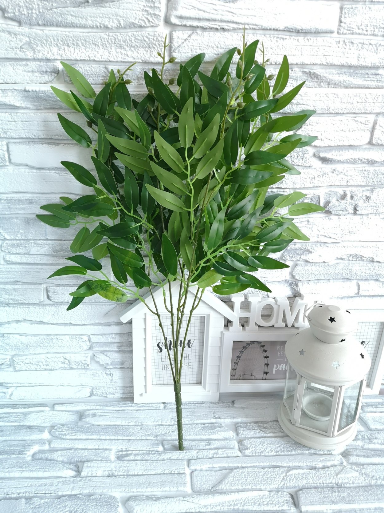 Рускус Italy long