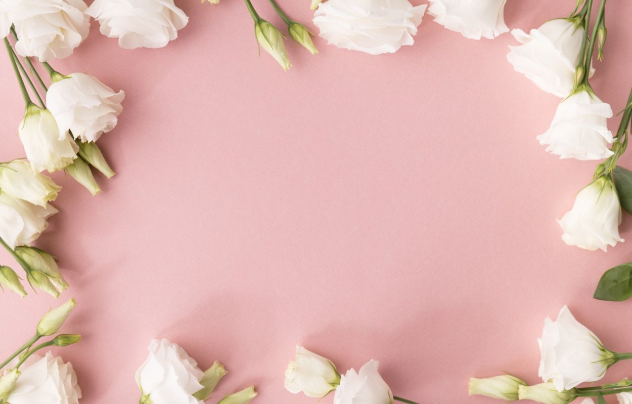 Софора золотистолистная