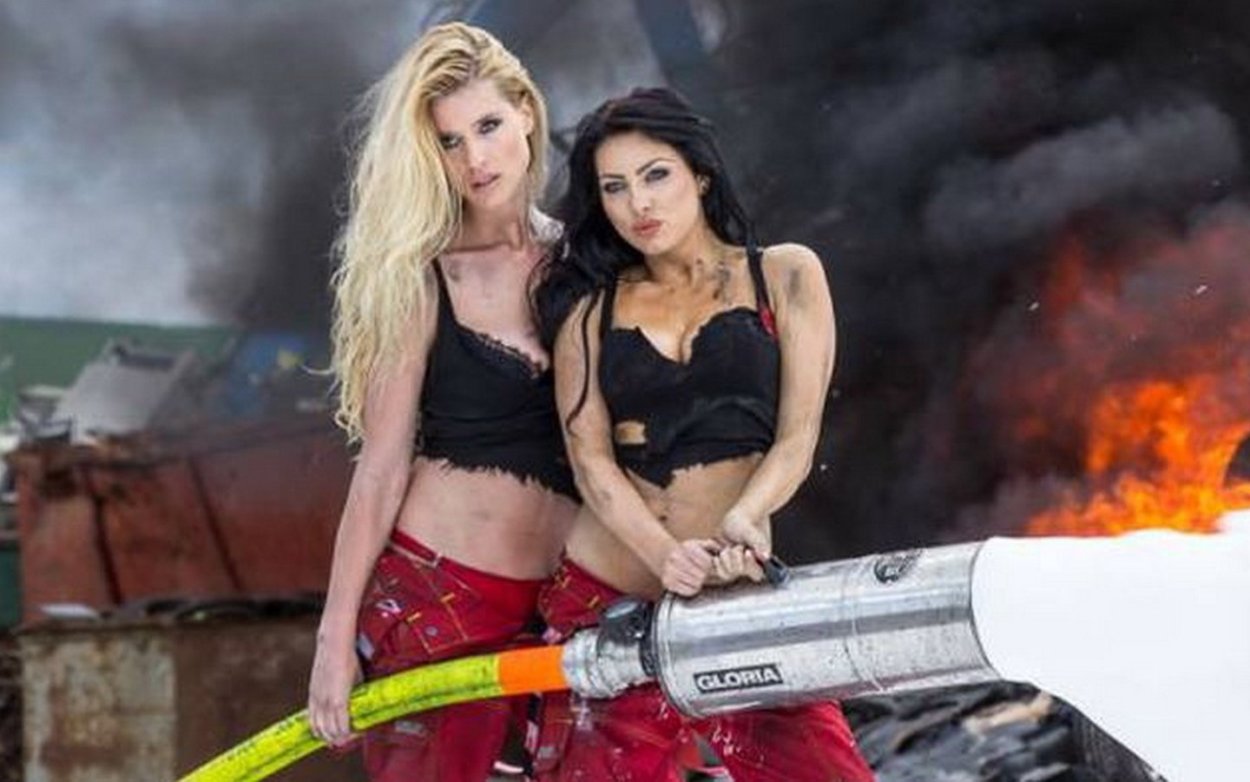 Бабочка Адмирал Vanessa Atalanta