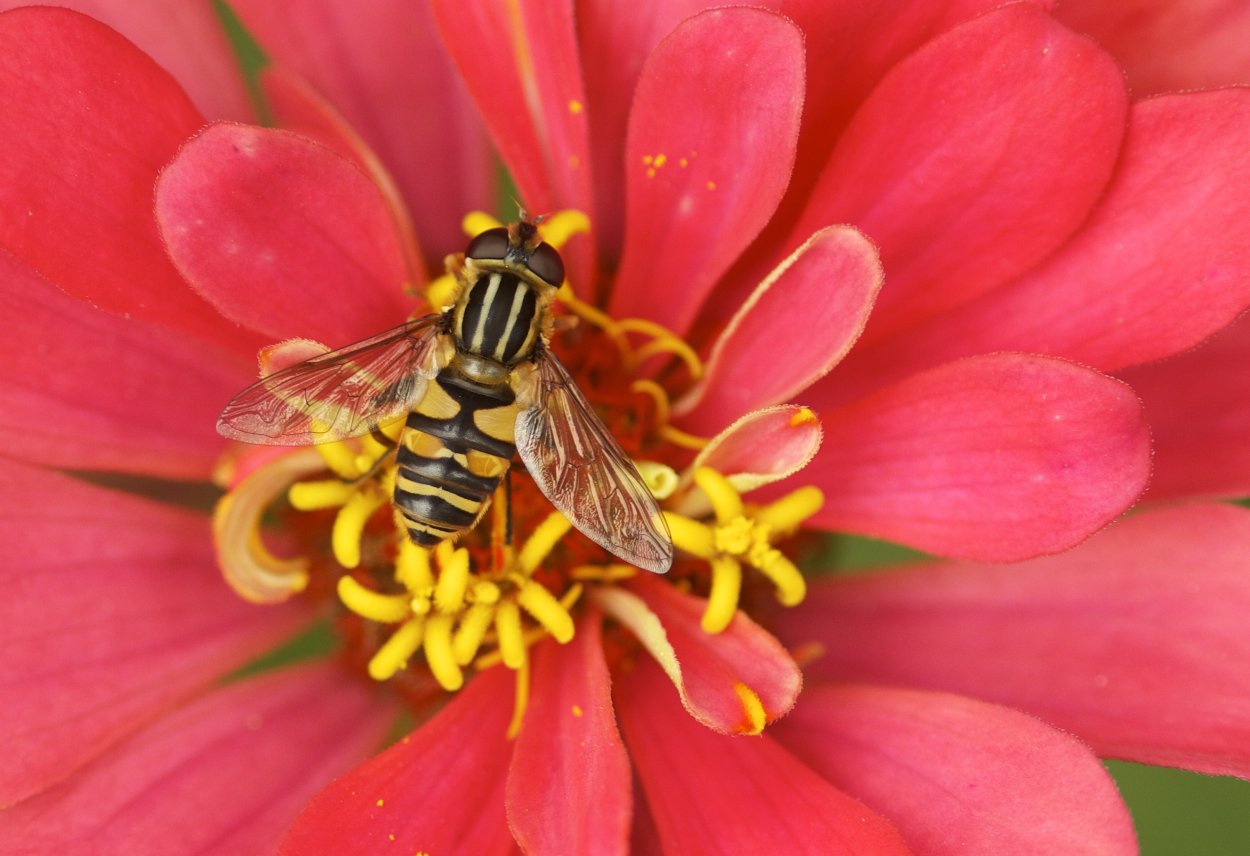 Пожарная тематика