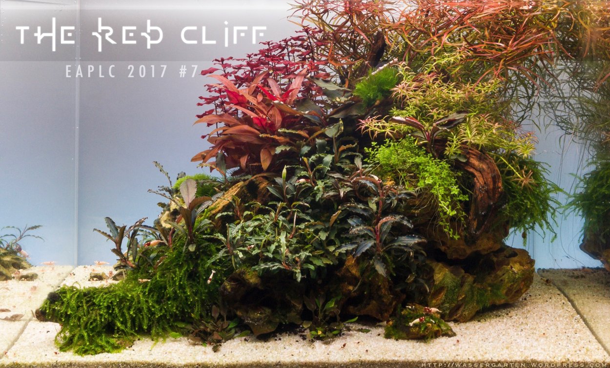 Хоттония палюстрис