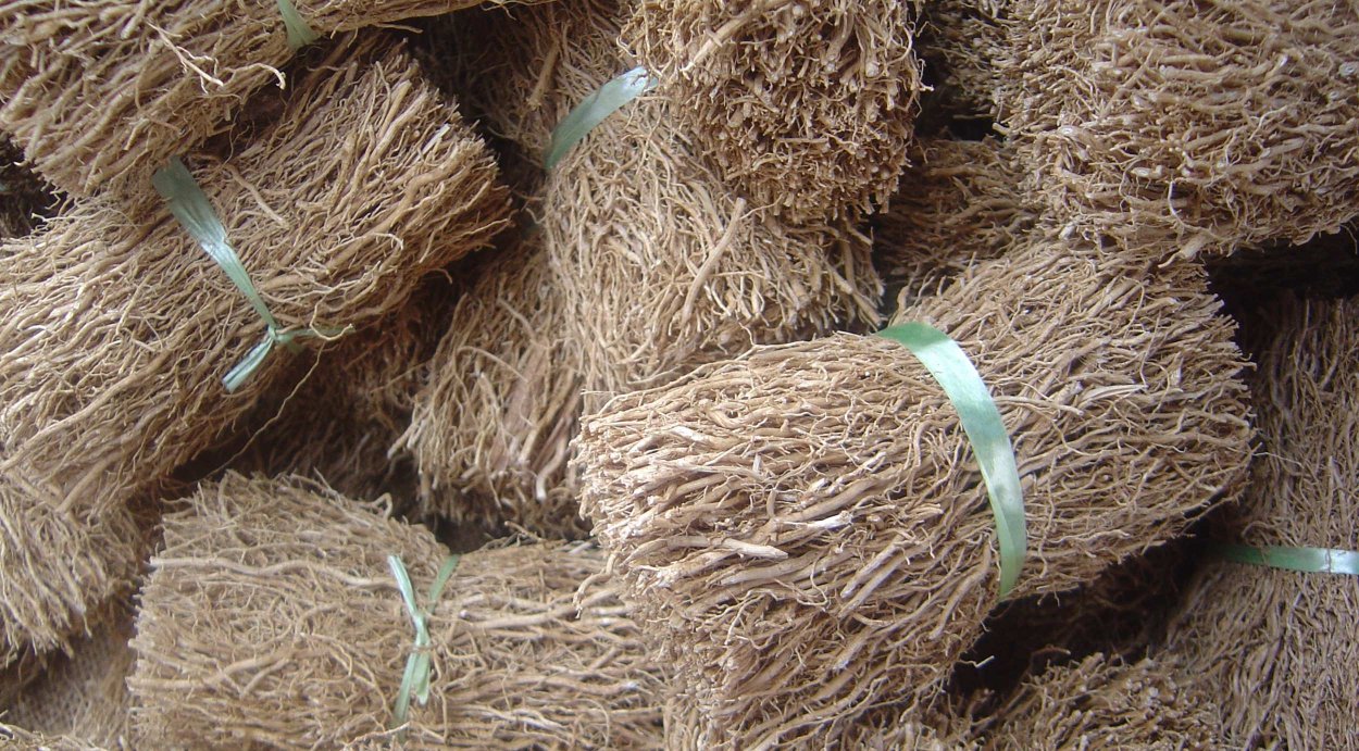 Цимбопогон полезные свойства