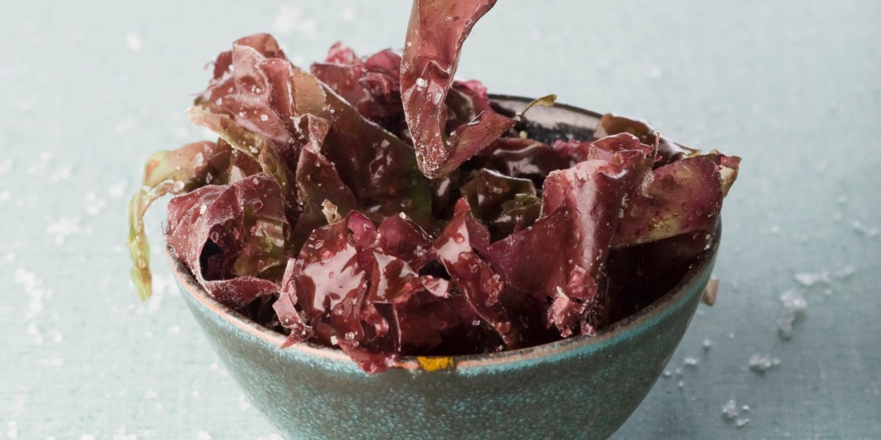 Карраген ирландский мох