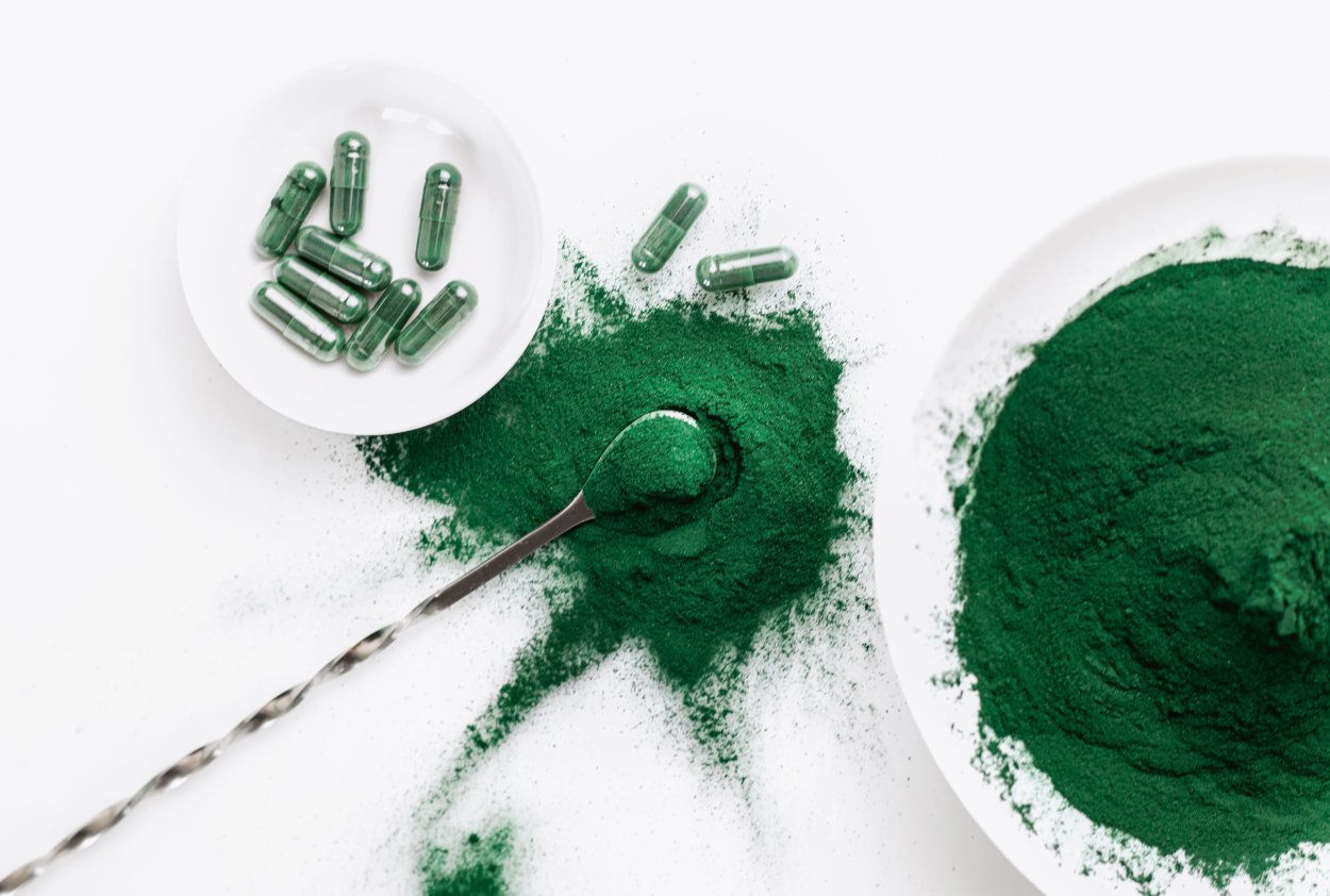 Chlorella vulgaris споры