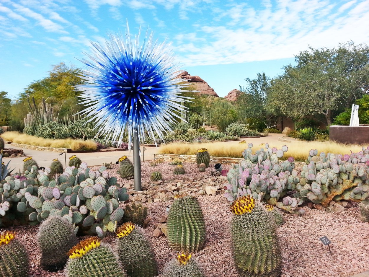 Desert Botanical Gardens Chihuly