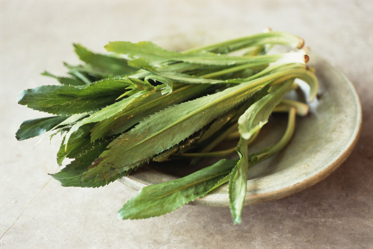 Сибех армянская