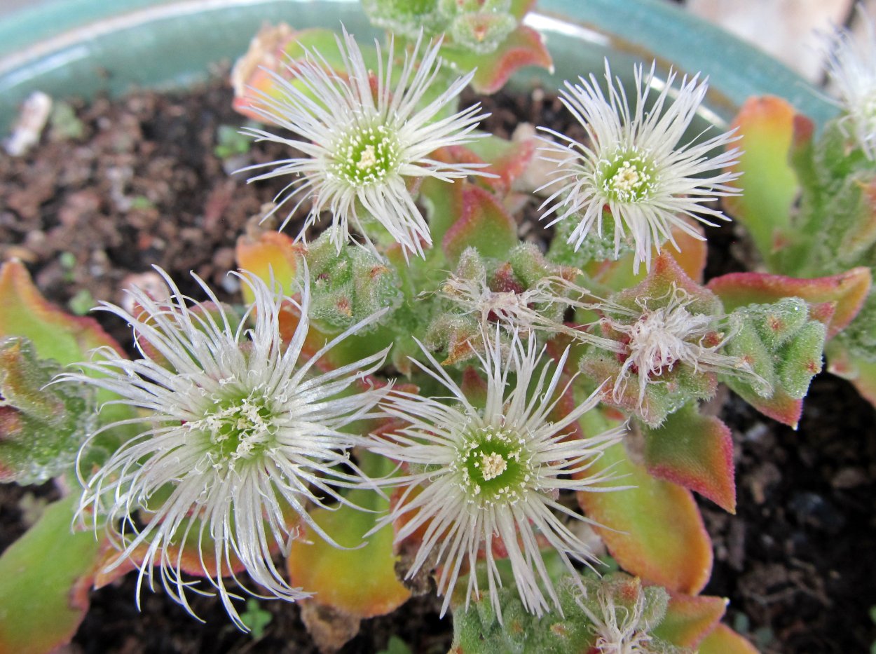 Втулка гидроцилиндра рулевого 4085-3409016