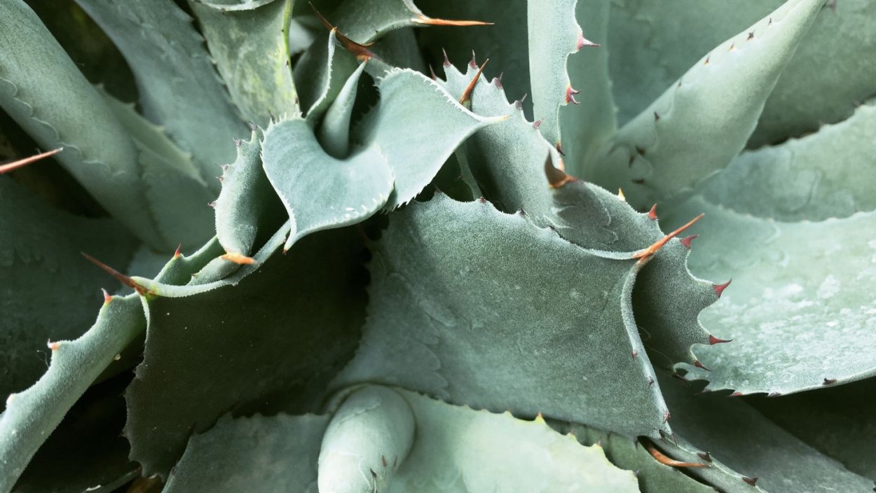 Радар-детектор Megaforcer z-11st