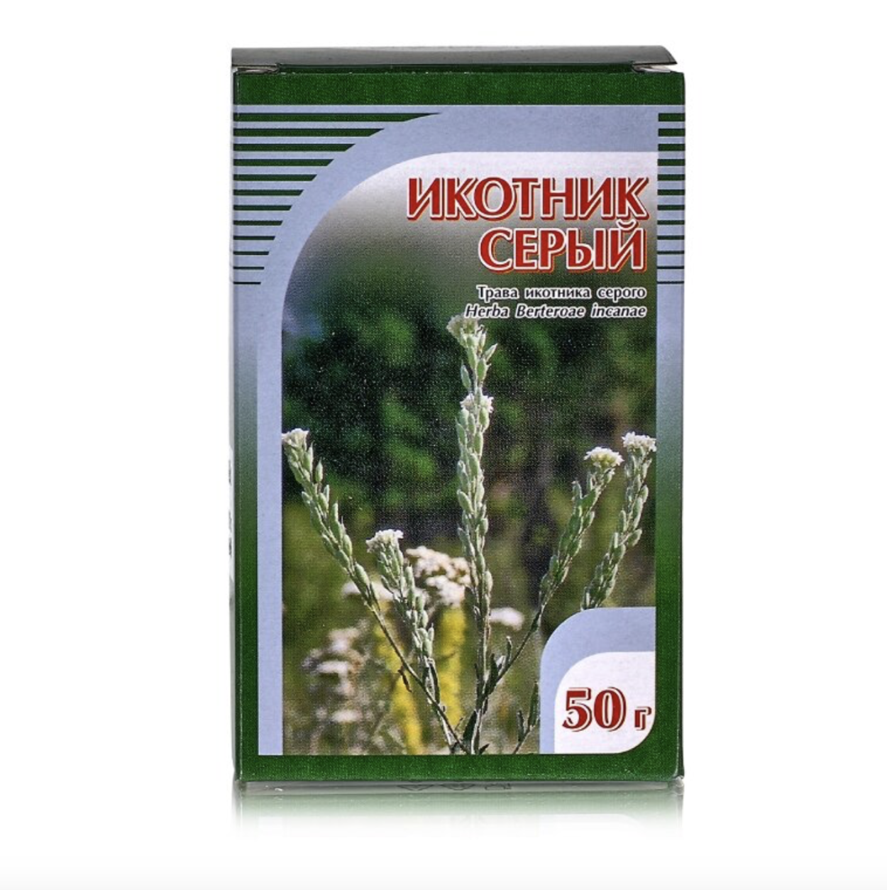 Икотник серый