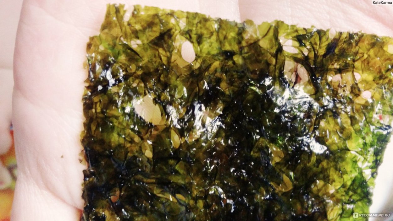 Морские водоросли нори