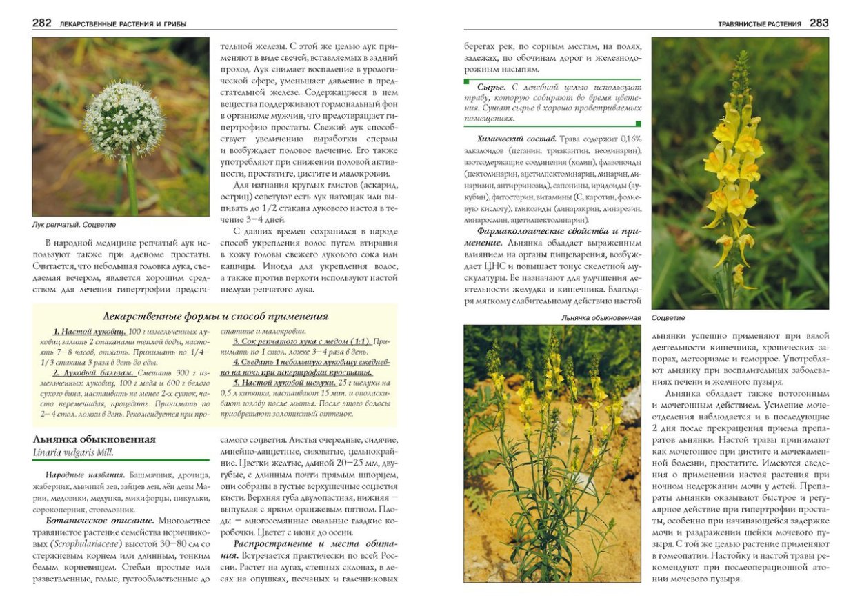 Атлас определитель лекарственных растений