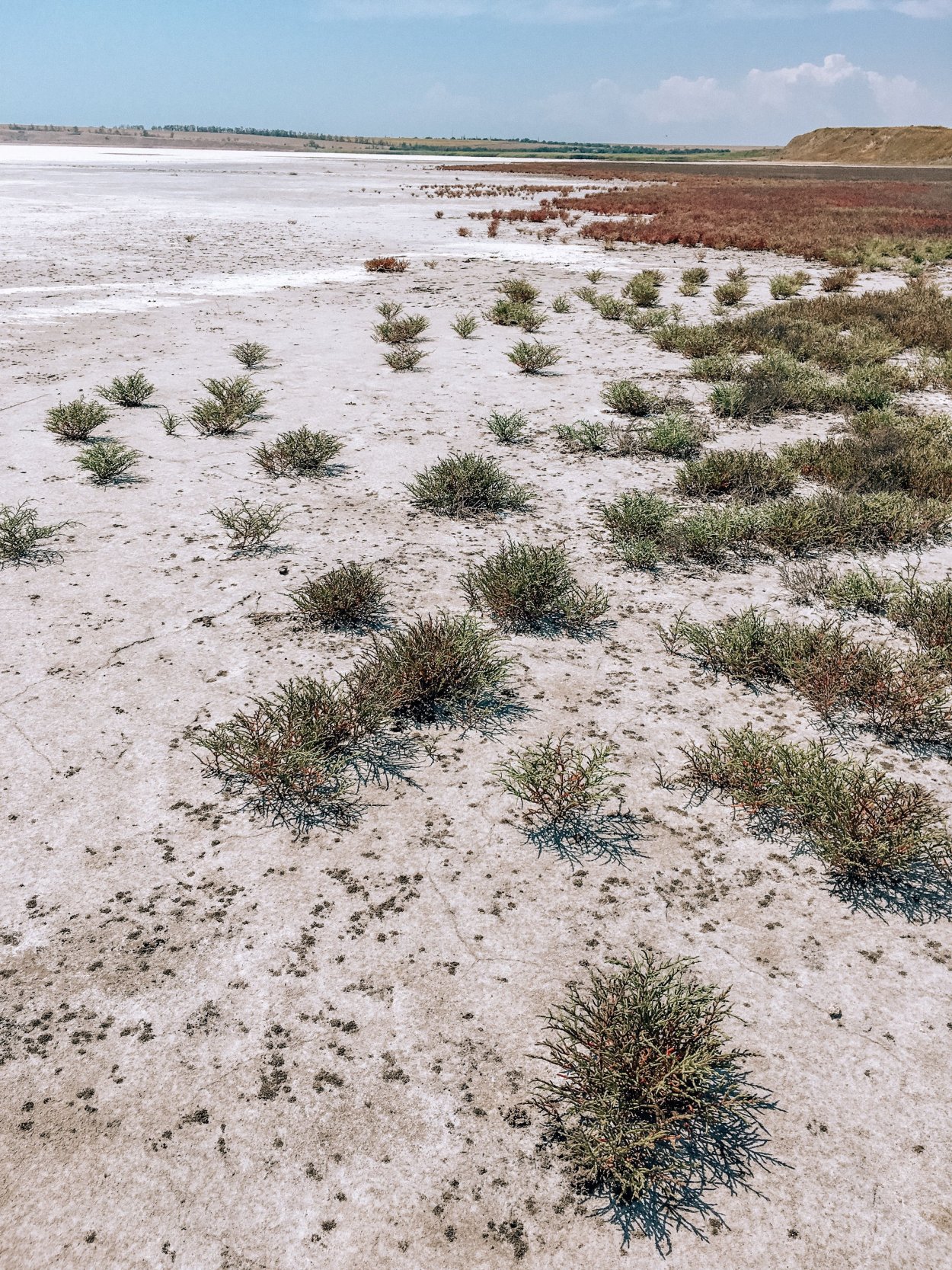 Аральская пустыня (Аралкум)