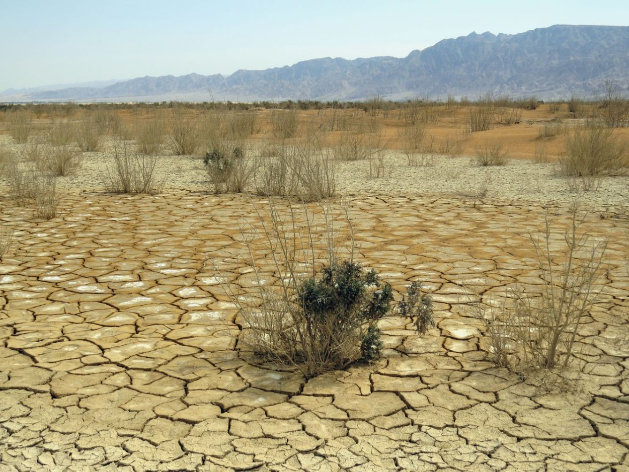 Солончаковые пустыни