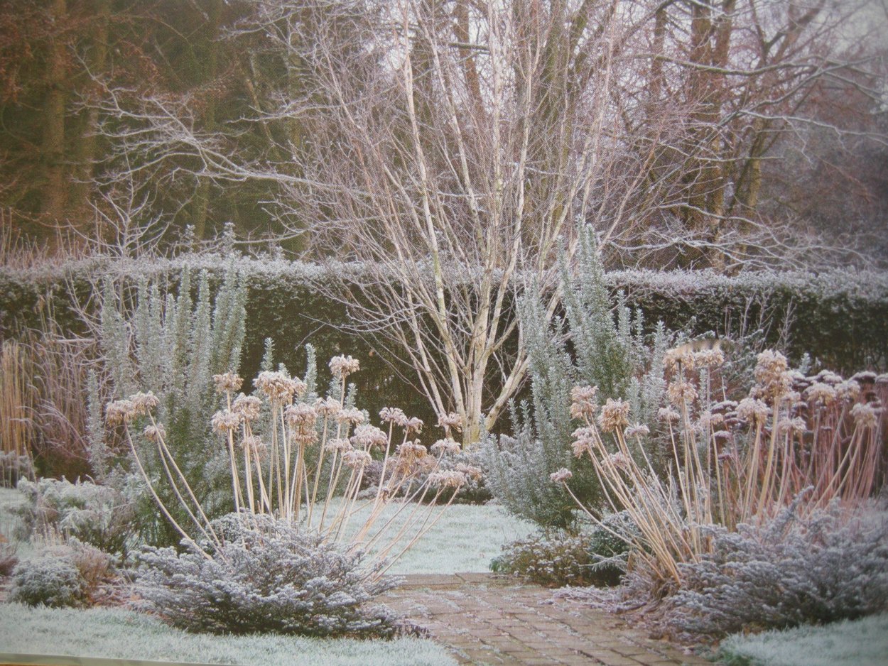 Растения засоленных почв