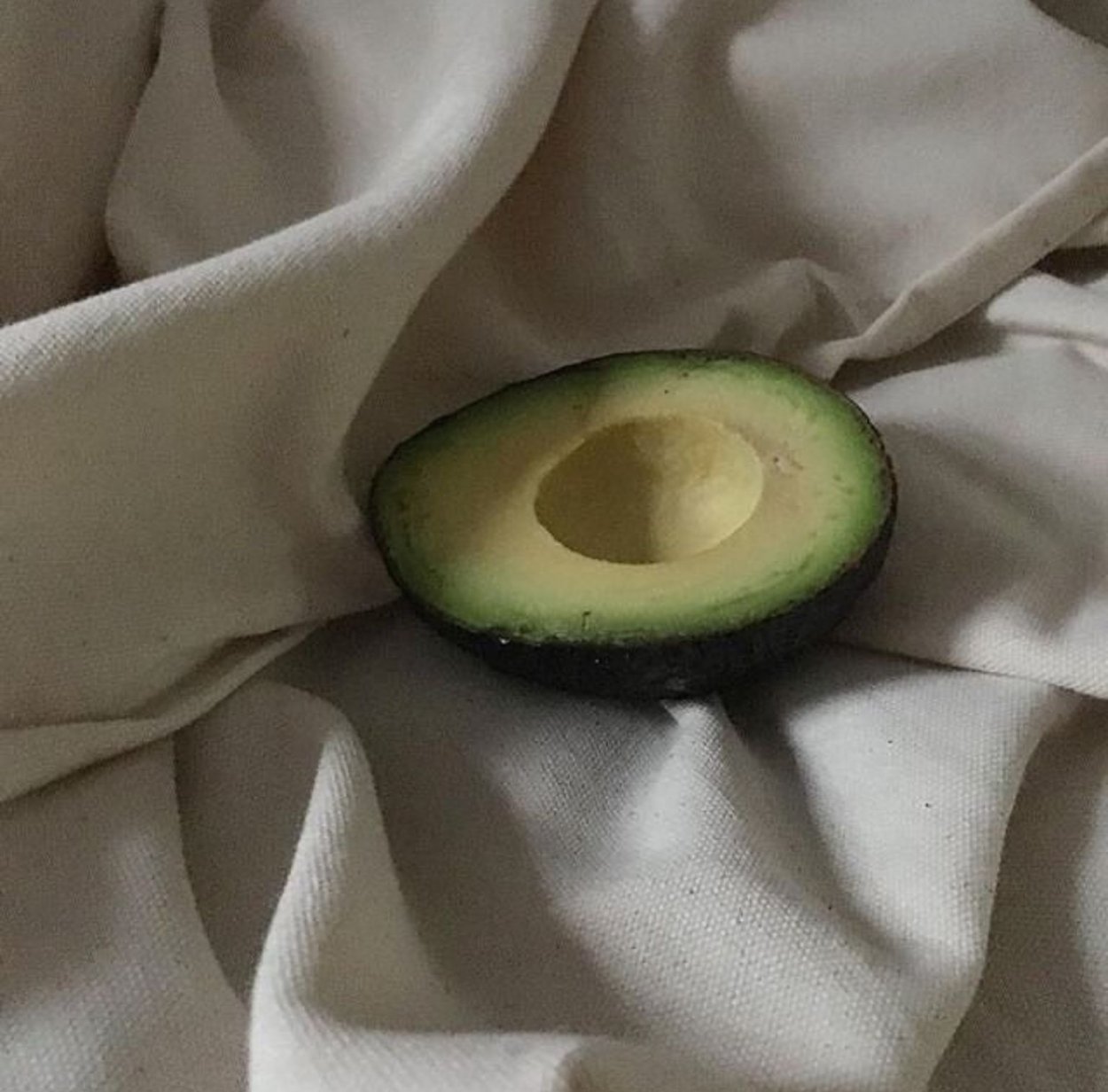 Полынь горькая семена