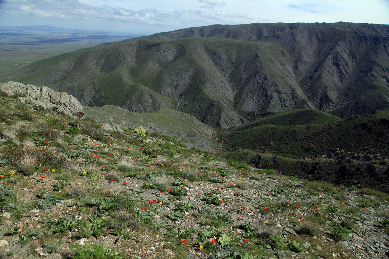 каратау город в казахстане