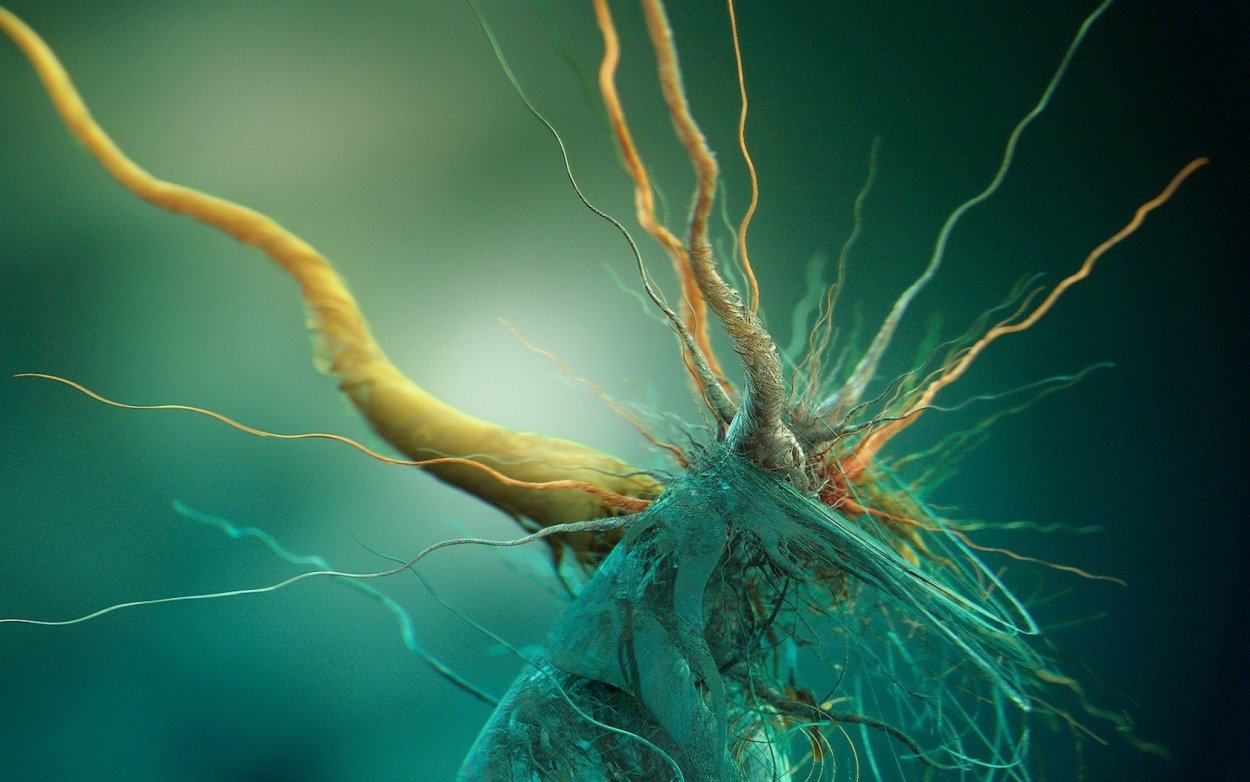 Электричество под микроскопом