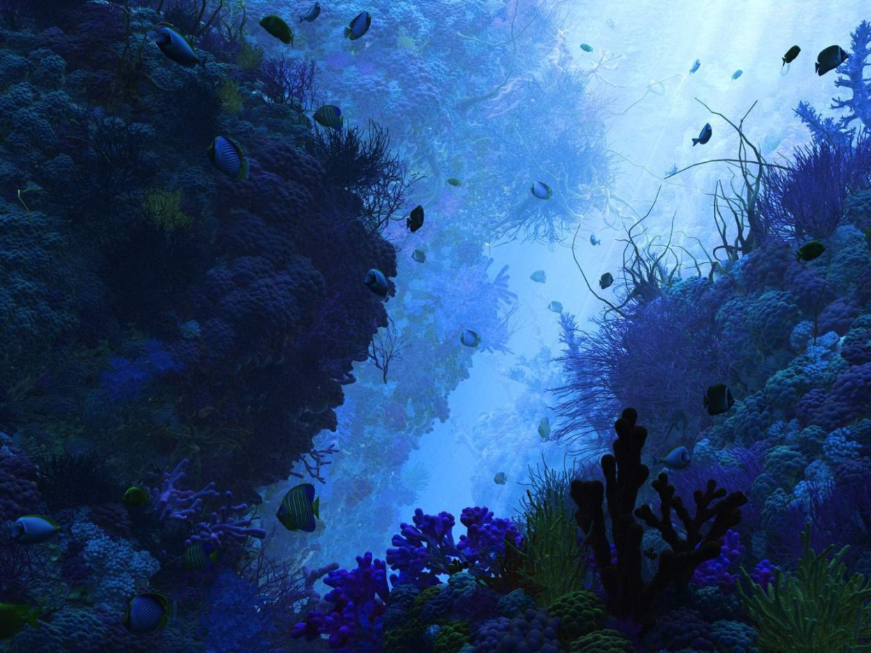 Подводный мир