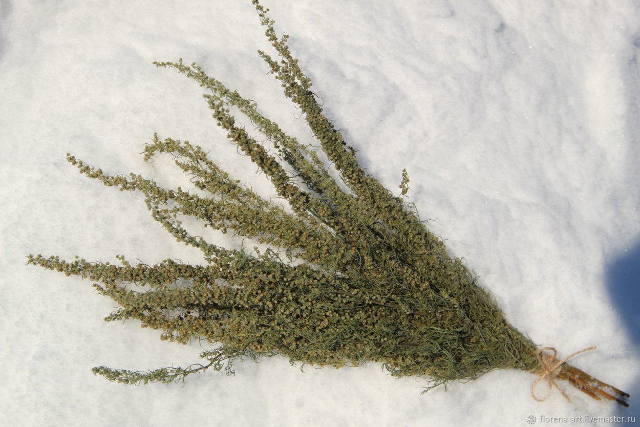 Полынь трава сушеная