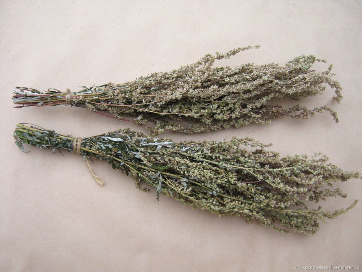 Букет полыни