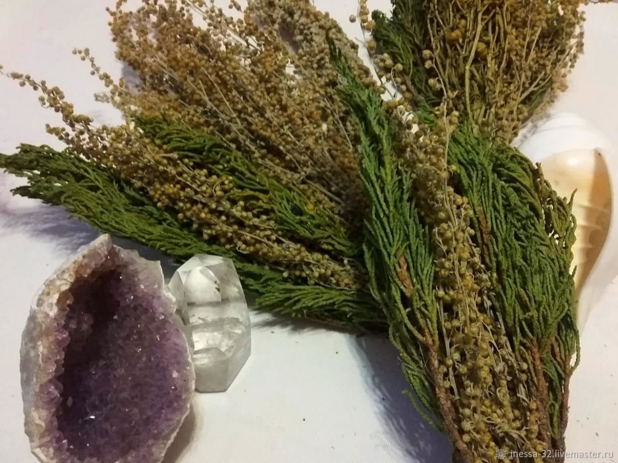 Чем полезна Полынь для здоровья