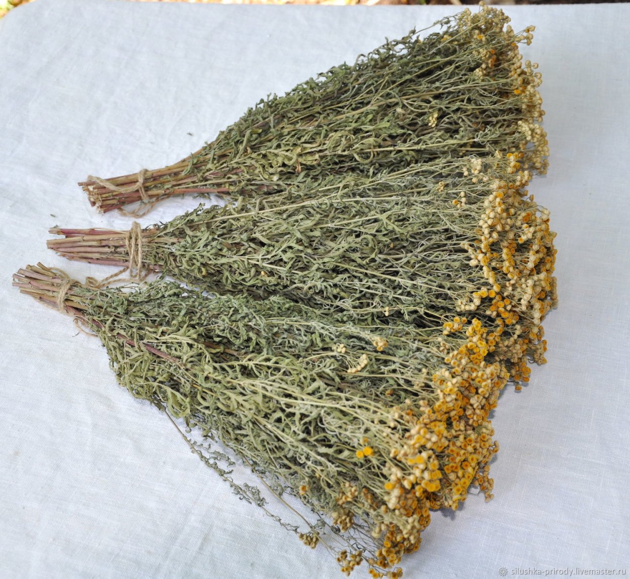 Полынь обыкновенная веник