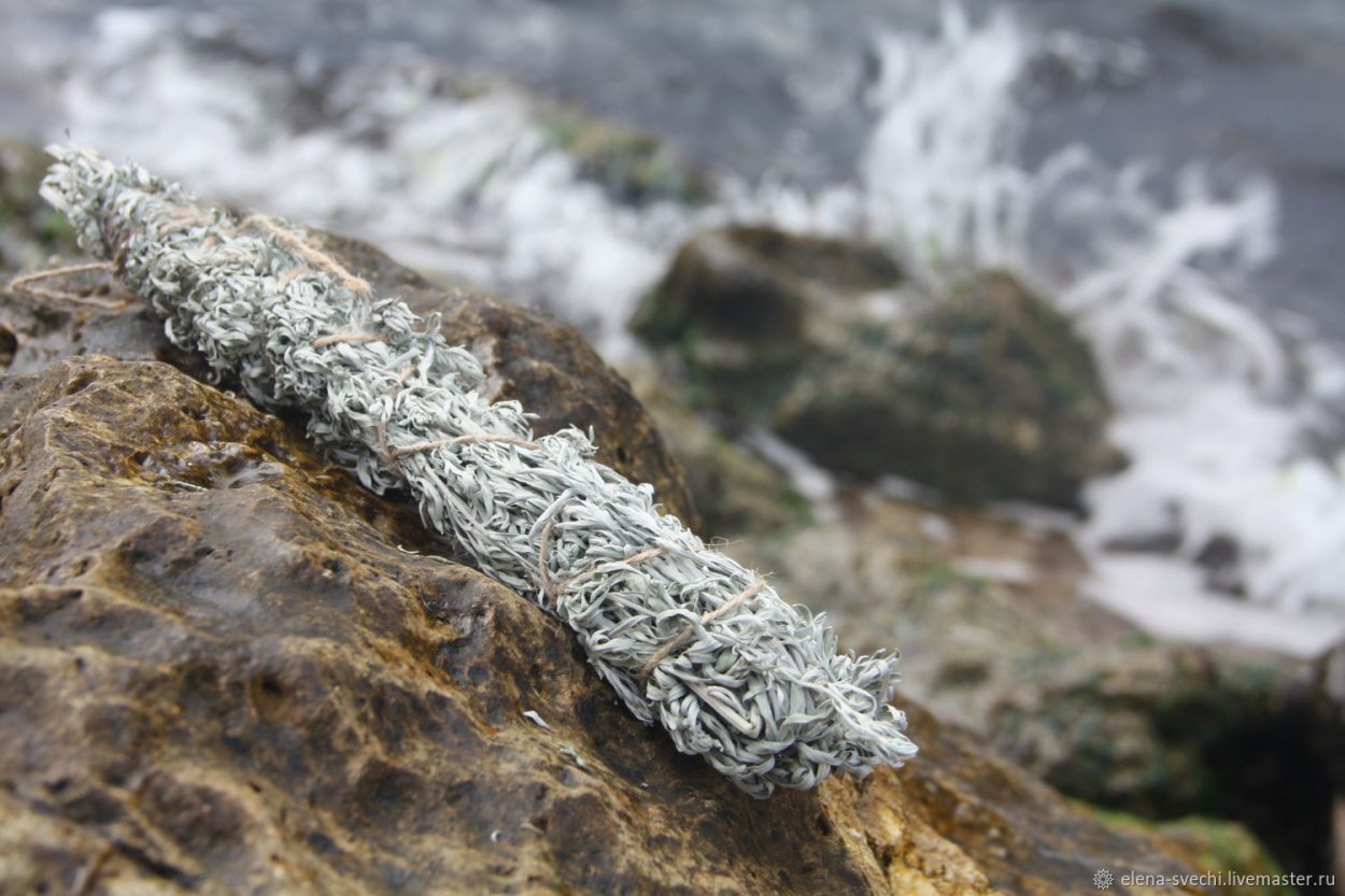 Полынь россыпью купить в аптеке