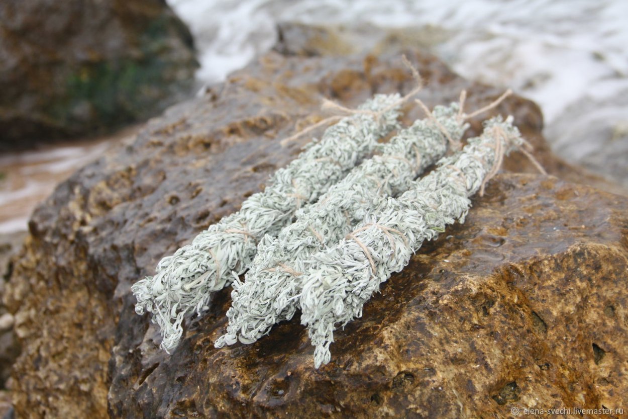 Букет полыни