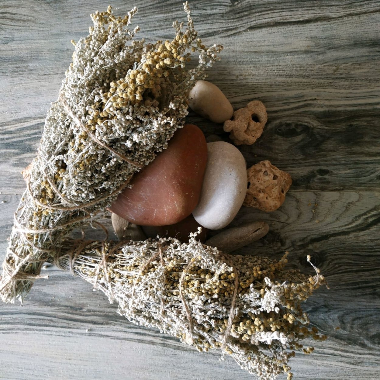 Там где цветет Полынь Ольга Птицева