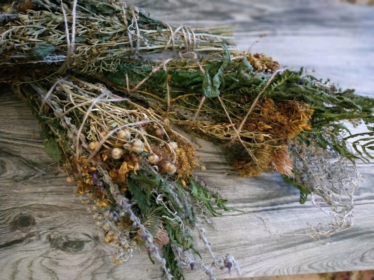 Полынь Сиверса Boughton Silver