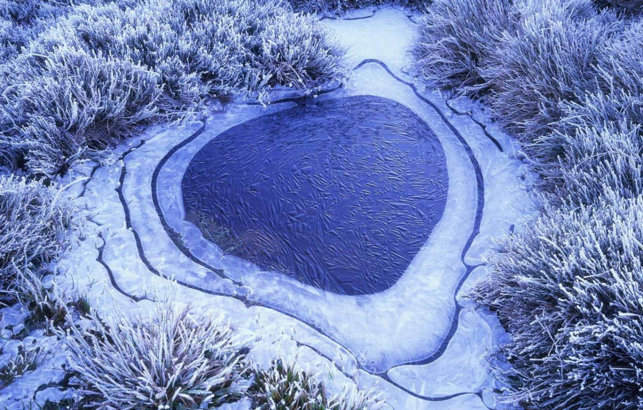 Донская степь ковыль