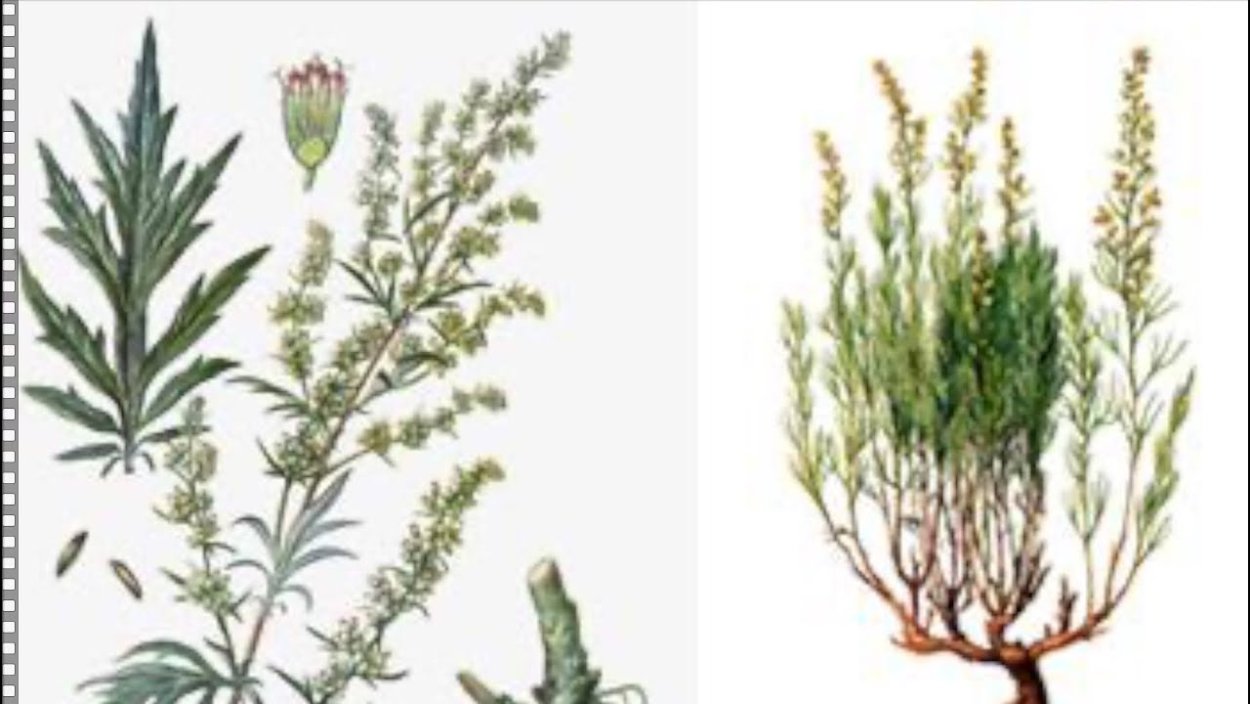 Лед на водоеме