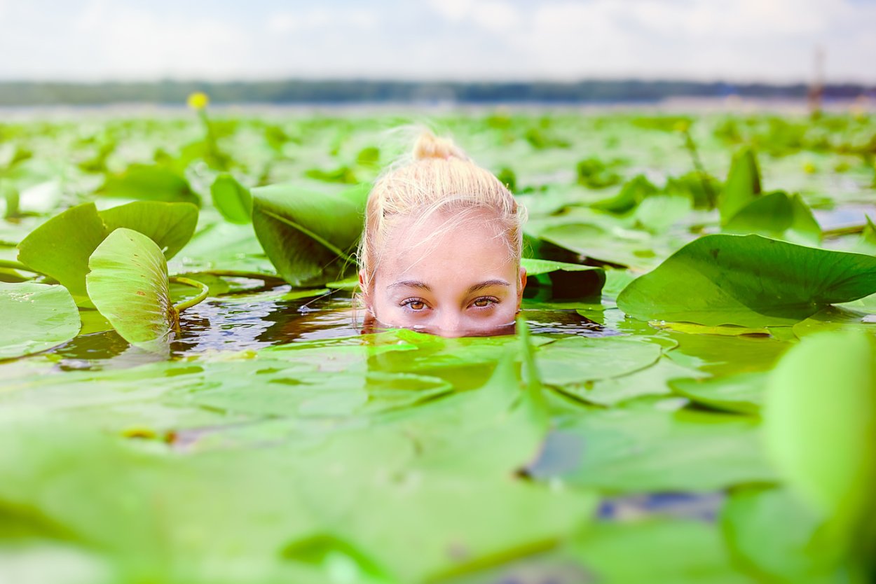 Камень в болоте
